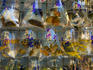 Goldfish at Goldfish market, Mong Kok.