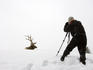 Photographer taking photograph of elk in the snow.