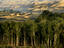 Contrasting landscape of the Bamiyan Valley.