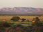 Nogal Valley, Somaliland, Puntland & Somalia