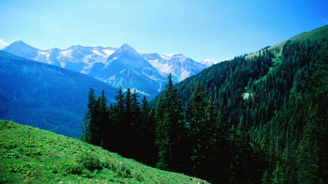 Image_253-802