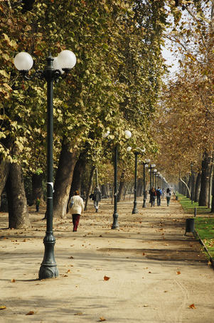 Forest Park along the Mapocho river.