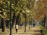 Forest Park along the Mapocho river.