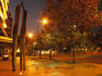 El Bosque Avenue at night.