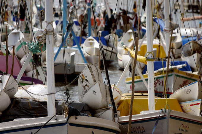 Moored yachts.