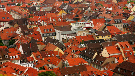 Image_25317-13