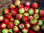 Irish Apples, Ireland