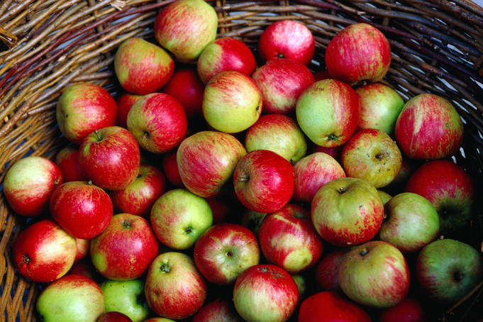A basket of Irish Apples