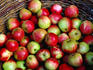 A basket of Irish Apples