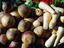 Image_2532-7