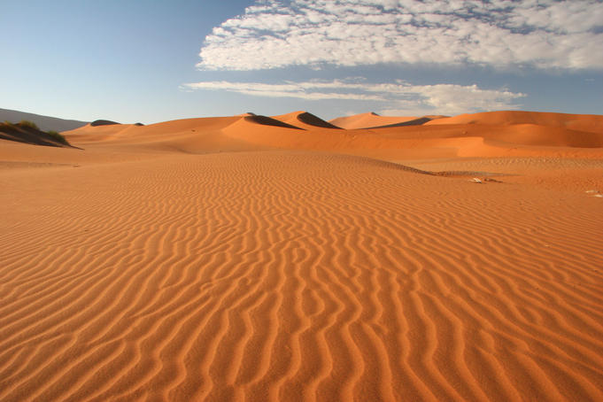 Untouched sand dunes.