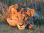 Image_25340-19