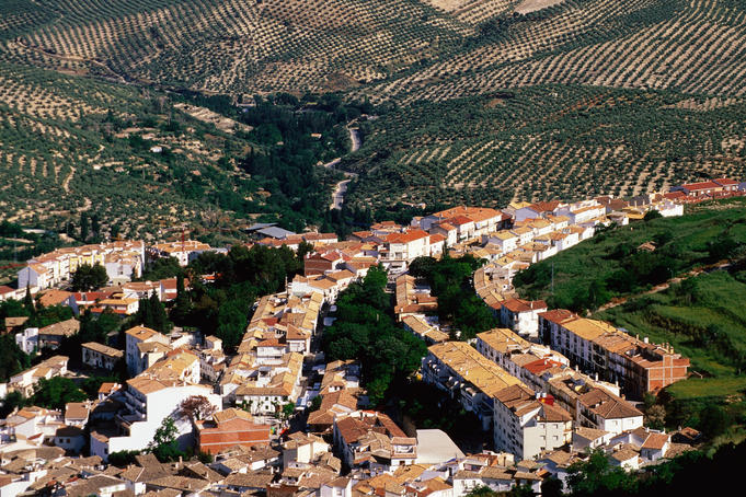 Overlooking the village of La Iruela with olive groves in background.