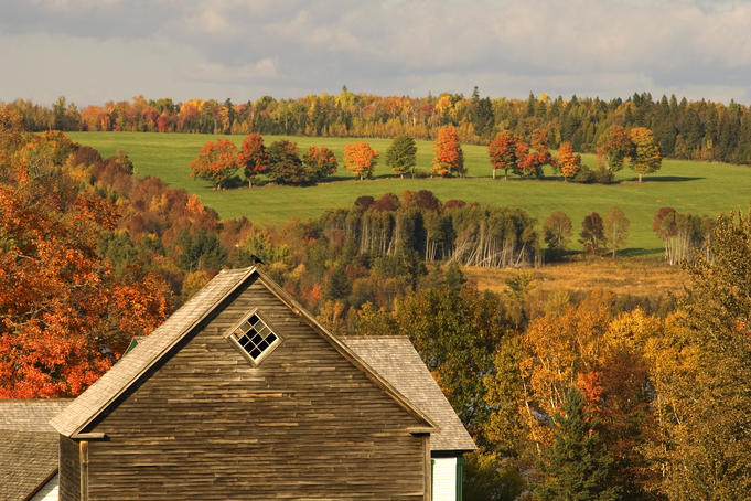Farm house surrounded by trees in autumn colour.