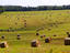 Field, Prince Edward Island