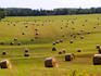 Hay bales in field.