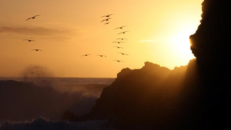 Image_25387-50