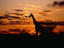 Image_2540-38