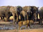 Image_2540-44