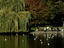 Image_25403-100