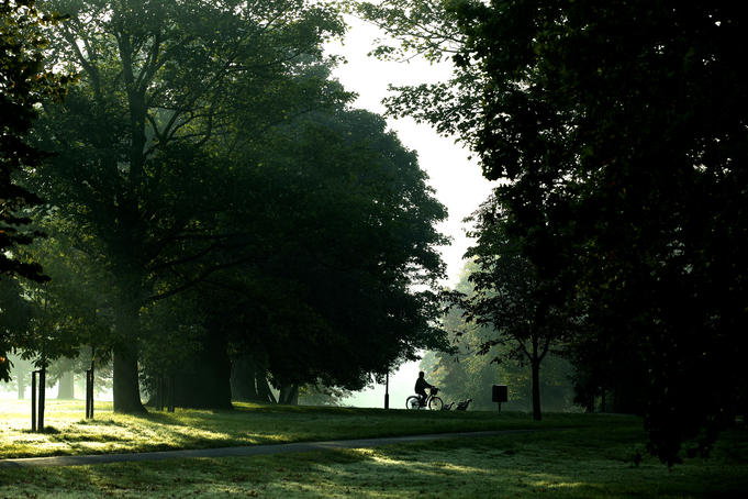Greenwich Park, early morning.