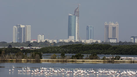 Image_25404-47