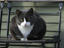 Image_25407-5