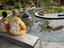 Image_25409-40