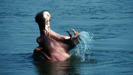 Image_2541-3