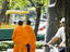 Monks walking, Thailand