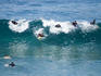 Surfers catching wave at Bronte Beach.