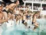 Bondi Icebergs diving into water.