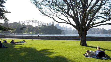 Image_25412-95