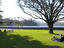 Image_25412-95