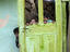 Gypsie children, Transylvania