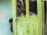 Gypsie children playing in their house, Transylvania.
