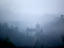 Image_25426-7