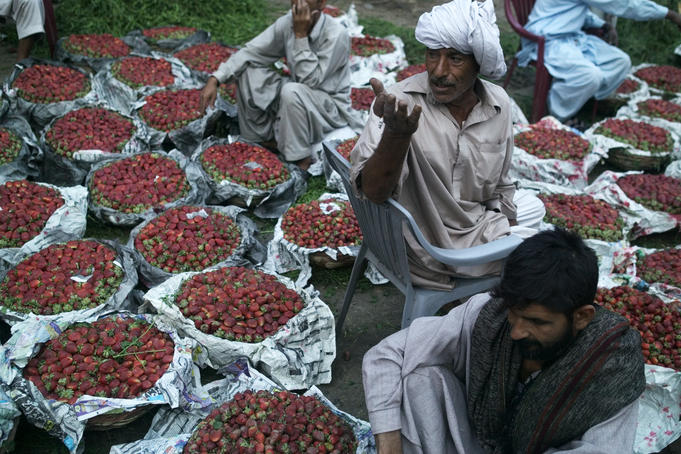 Strawberries for sale in the market.