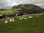Image_25442-27