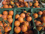 Oranges for sale at fish market.