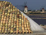 Windmills at salt fields.