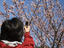 Image_25443-57