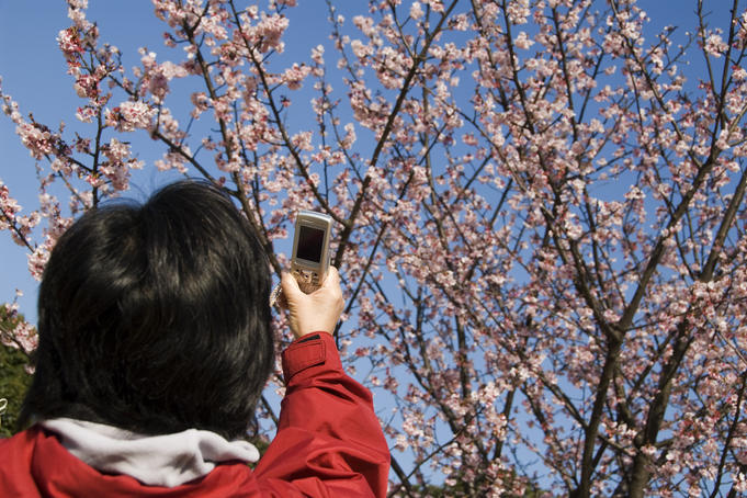 How to take better pictures with a camera phone