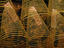 Image_25444-1