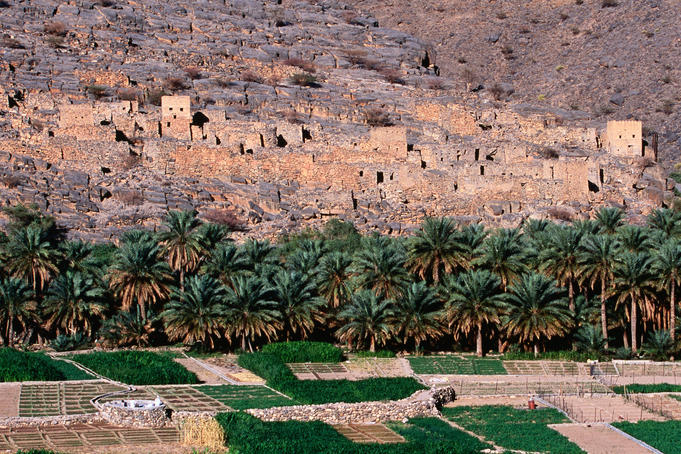 Fields and palm trees near abandoned village of Ghul, Wadi Ghul.