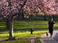 Image_25468-55