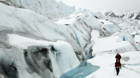 Image_25493-7