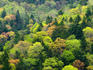 Trees in the colours of spring.