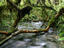 Image_25513-2