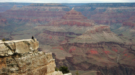 Overhead view of the Grand Canyon.